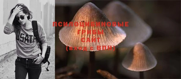 кристаллы Вяземский