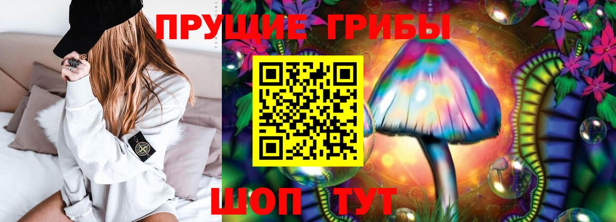 ГАШ Ноябрьск